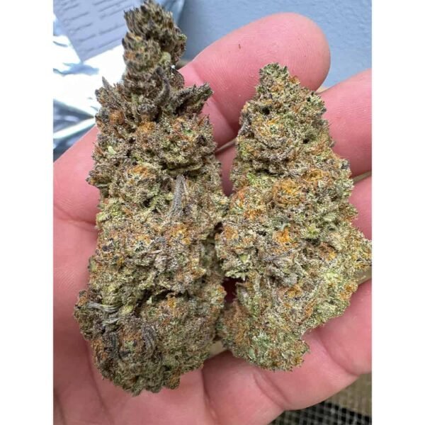 Blueberry THCA Flower BULK - Image 3