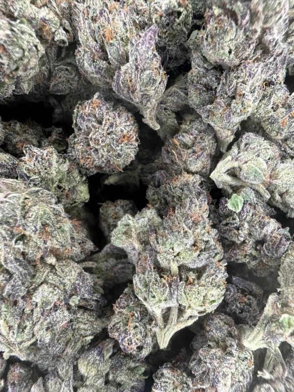 Glitter Bomb THCA Flower BULK - Image 7