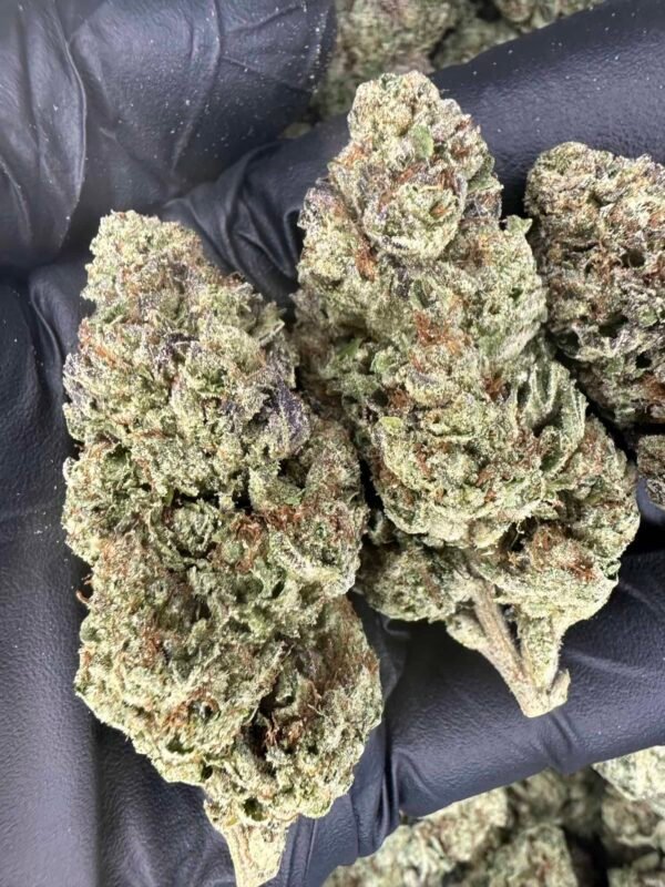 Glitter Bomb THCA Flower BULK - Image 6