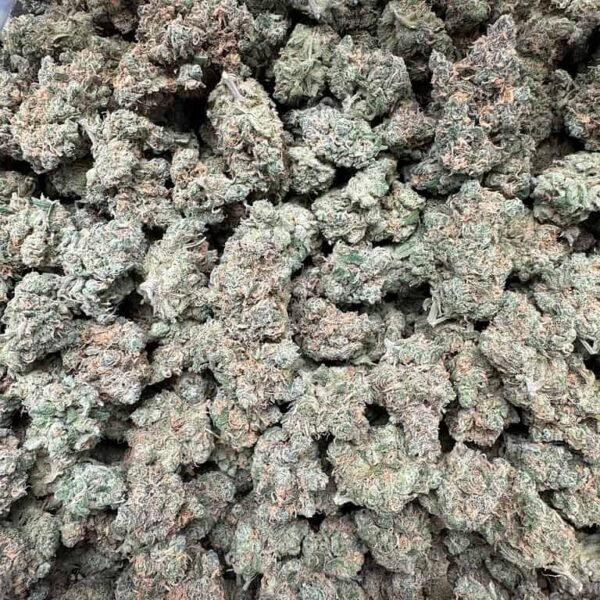 Blue Dream THCA Flower BULK - Image 5