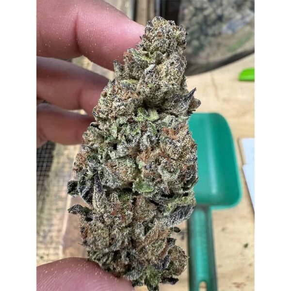 Gelato Punch THCA Flower BULK - Image 2