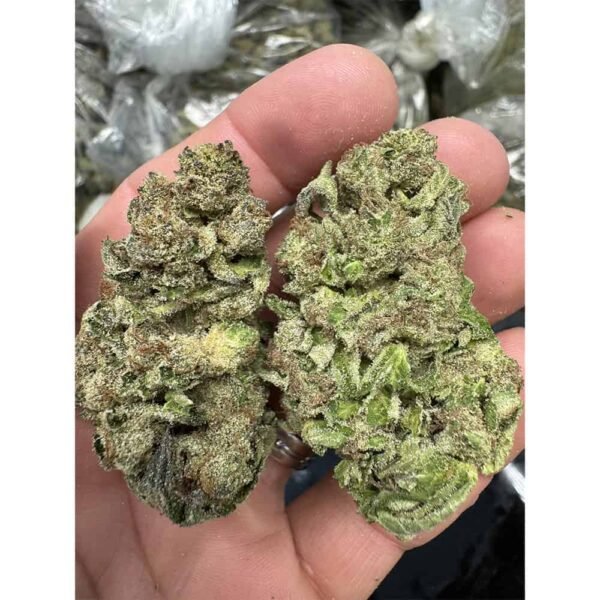 Gelato Punch THCA Flower BULK - Image 5