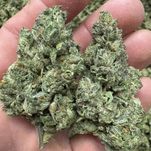 Lemon Cherry Gelato THCA BULK - Image 3