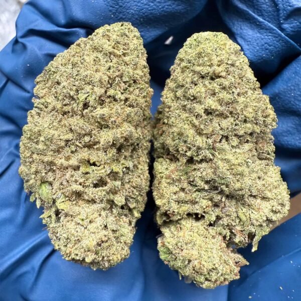 Papaya Punch THCA Flower BULK - Image 3