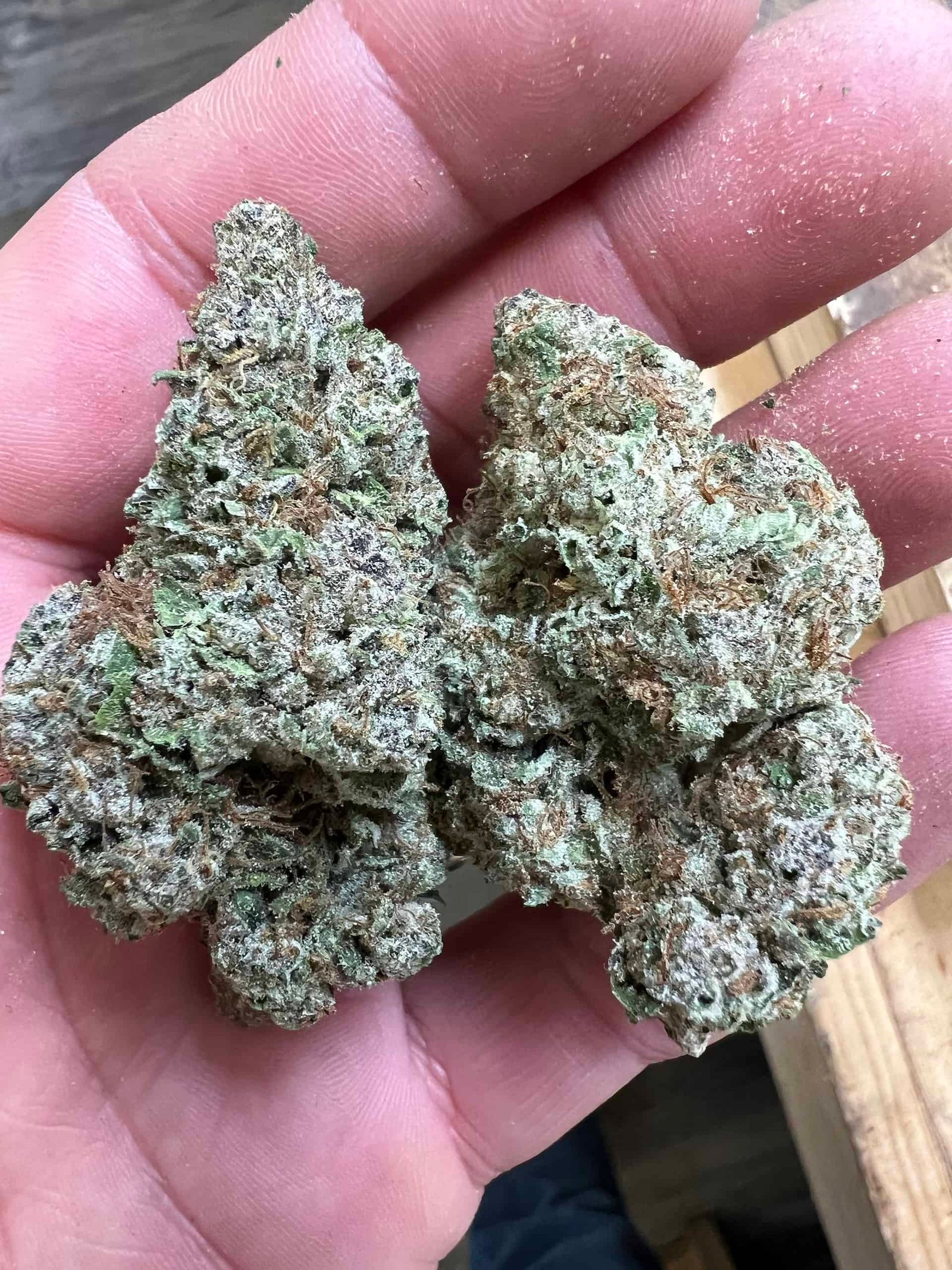 Quarantine Kush THCA Flower BULK