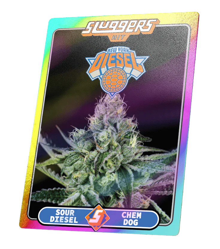 SLUGGERS - Juiced 5pk NYC Diesel Sativa - Image 6