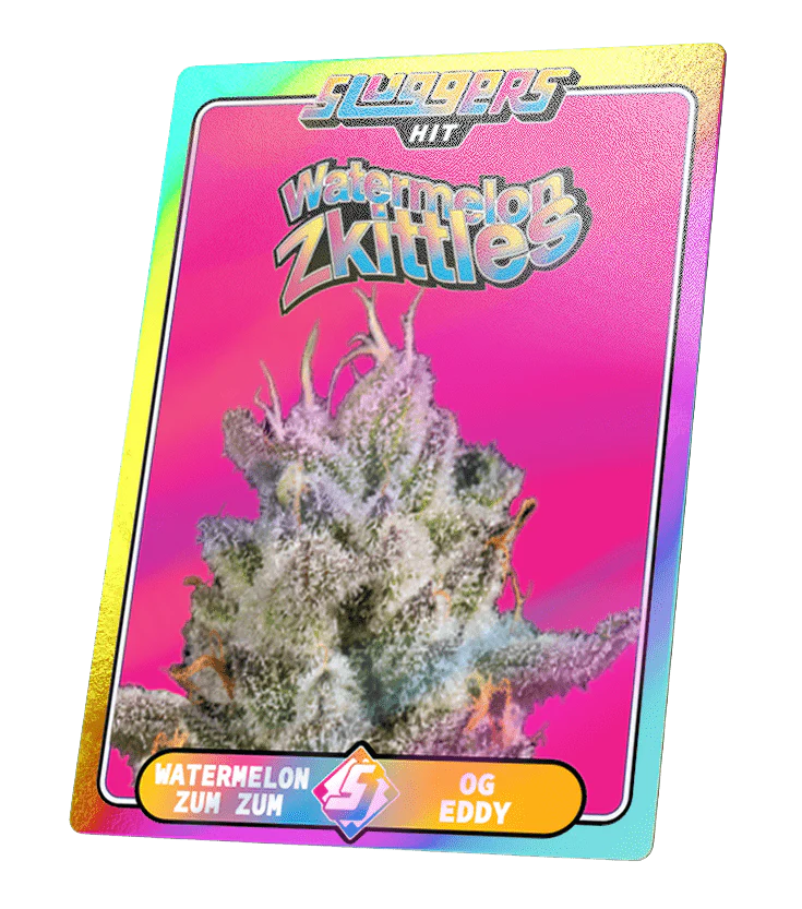 SLUGGERS - Juiced 5pk Watermelon Zkittles Hybrid - Image 4