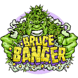 Bruce Banger Fast Feminised Seeds - 3