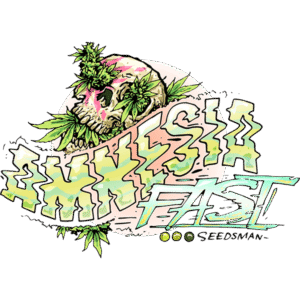 Amnesia Fast Feminised Seeds - 3